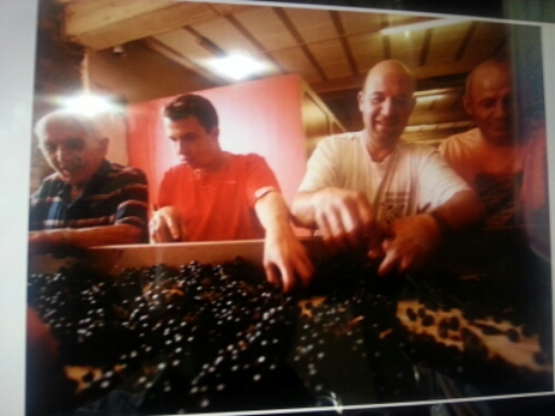 20141018_180450.jpg image