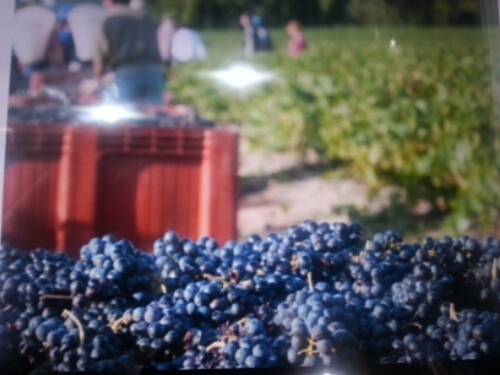 20141018_180551.jpg image