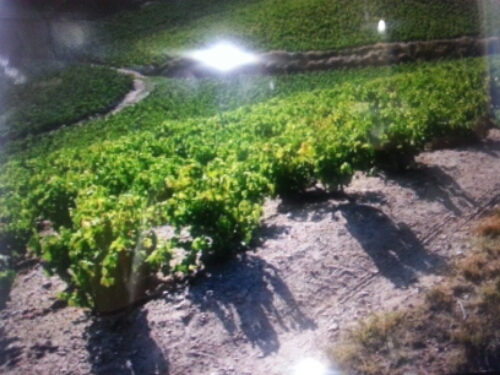 20141018_180622.jpg image