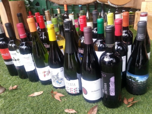 20141102_130007.jpg image